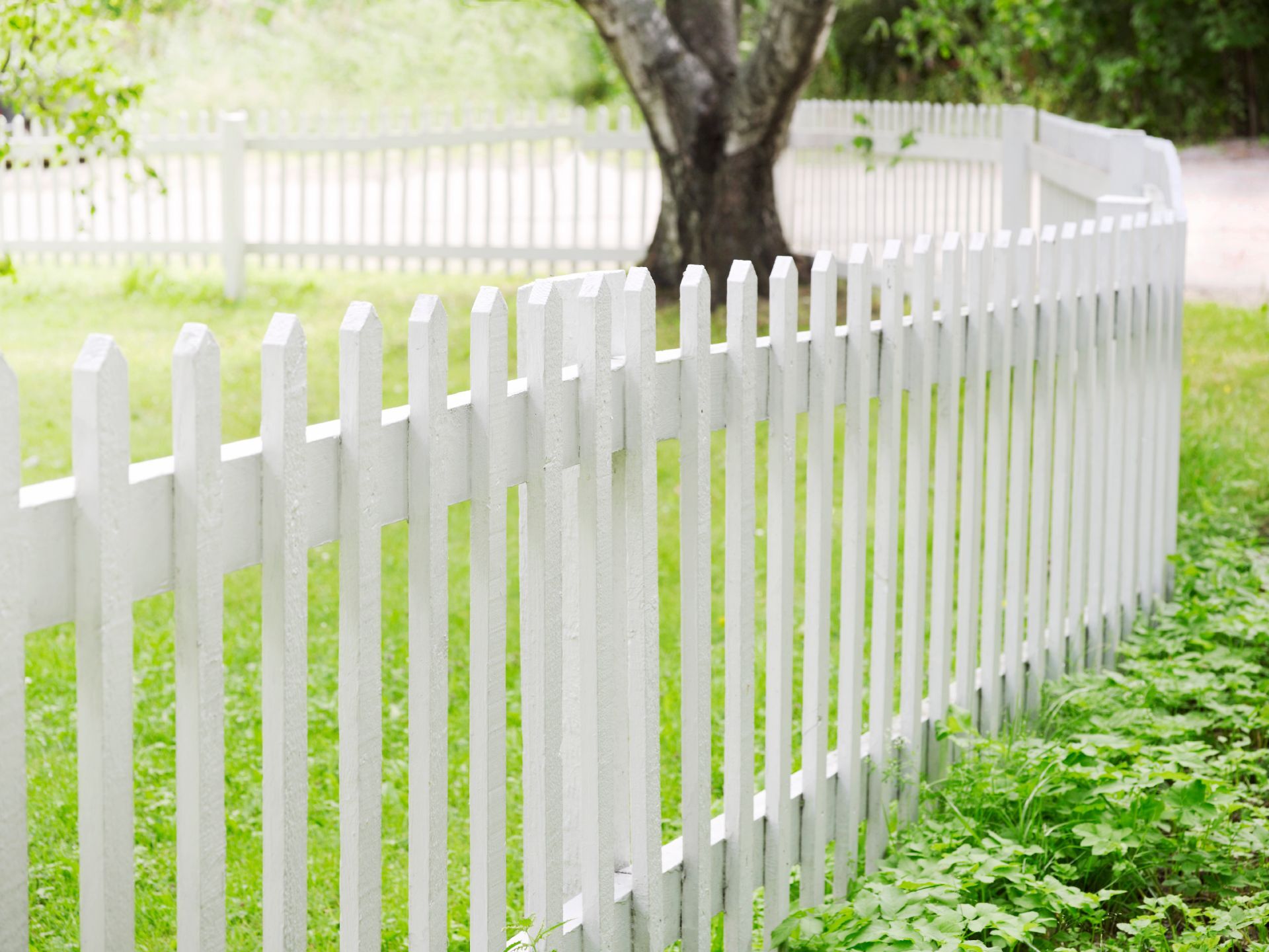 white colour wooden fence