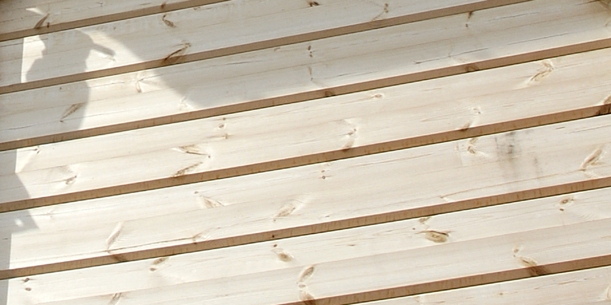 base for log surfaces