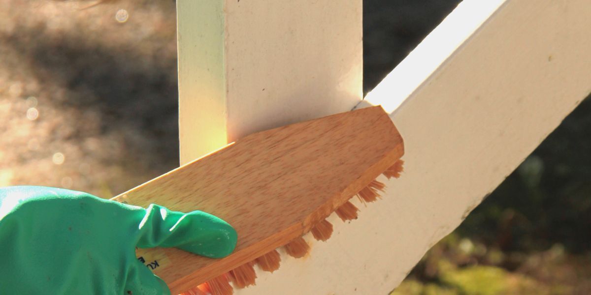 mold removal by brushing