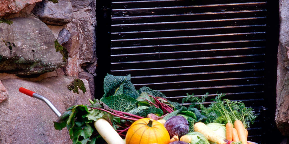 unica for external use