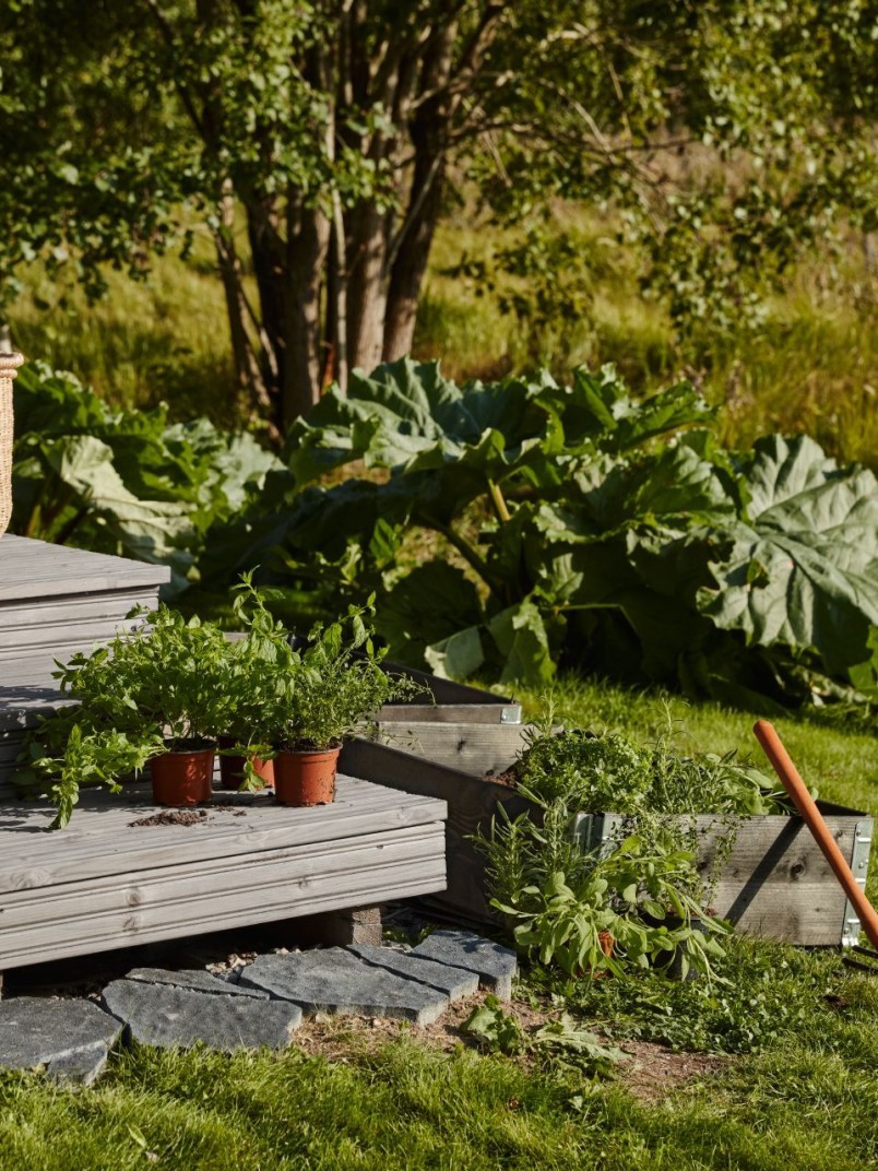 grey colour terrace with plenty of green plants