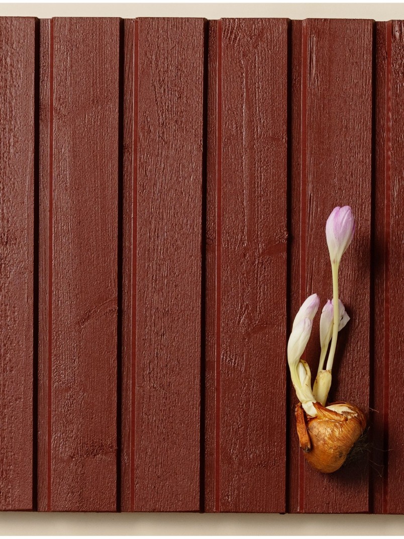 Popular wooden facade colour red D110