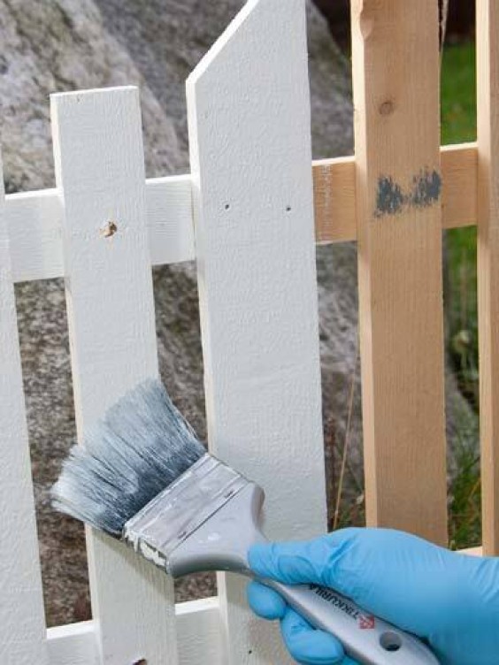Fence painting