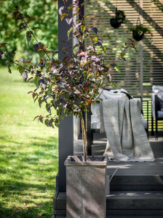plant box on garden deck