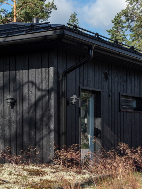 Black exterior house colour