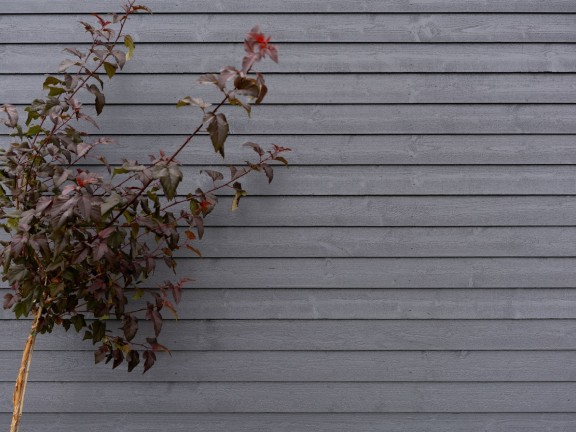 newly painted wood house cladding
