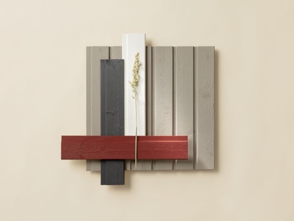 House exterior colour combination