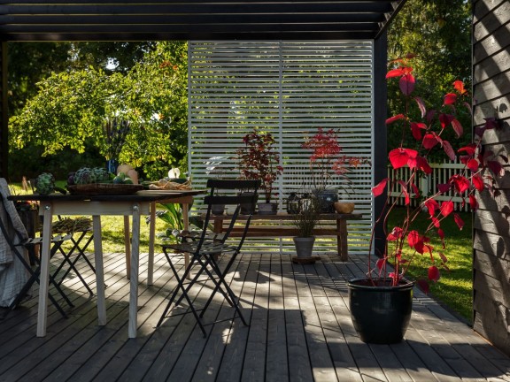 choosing colour for terrace