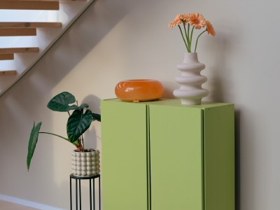 cabinet painted with fresh green colour