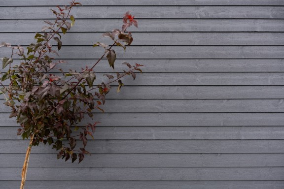 painting wooden house exterior