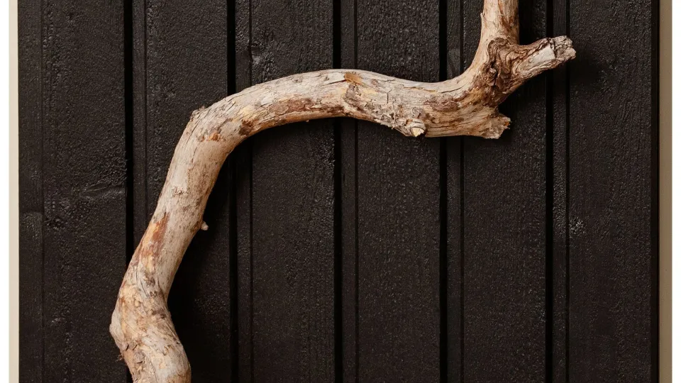 popular wooden facade colour D129