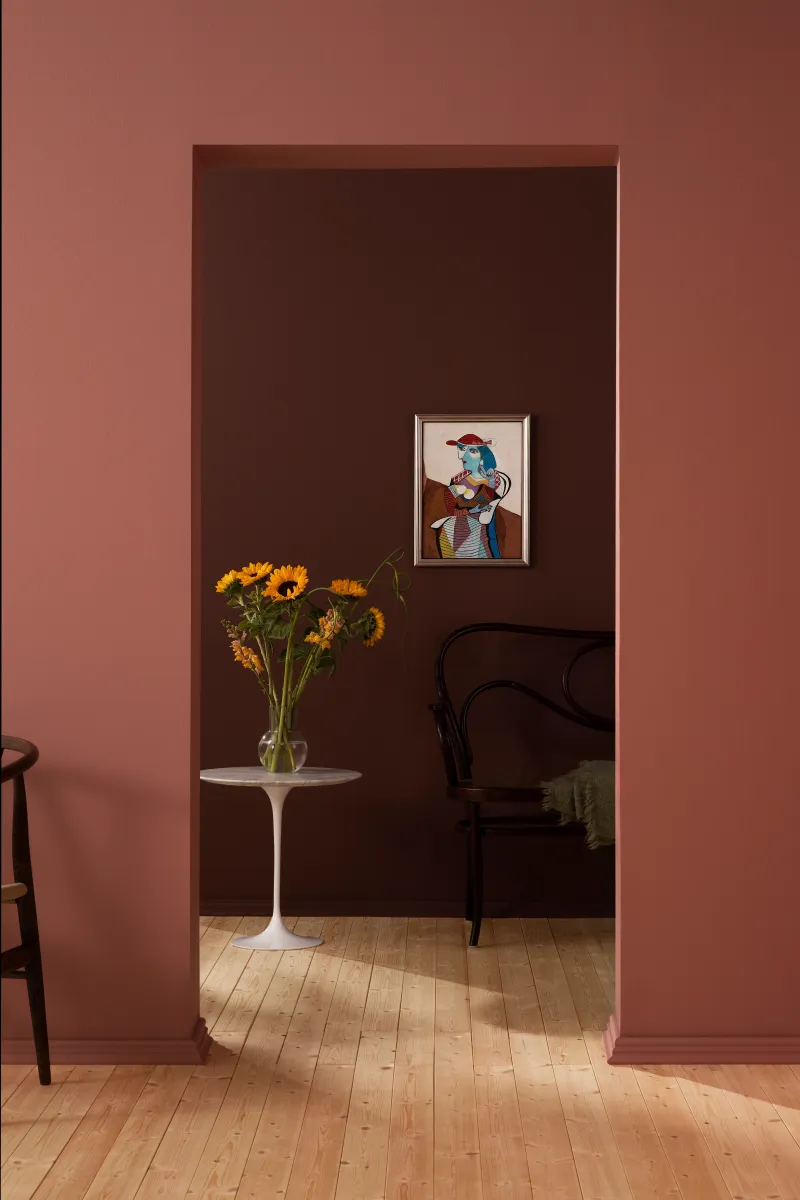 Design solutions inspired by nature