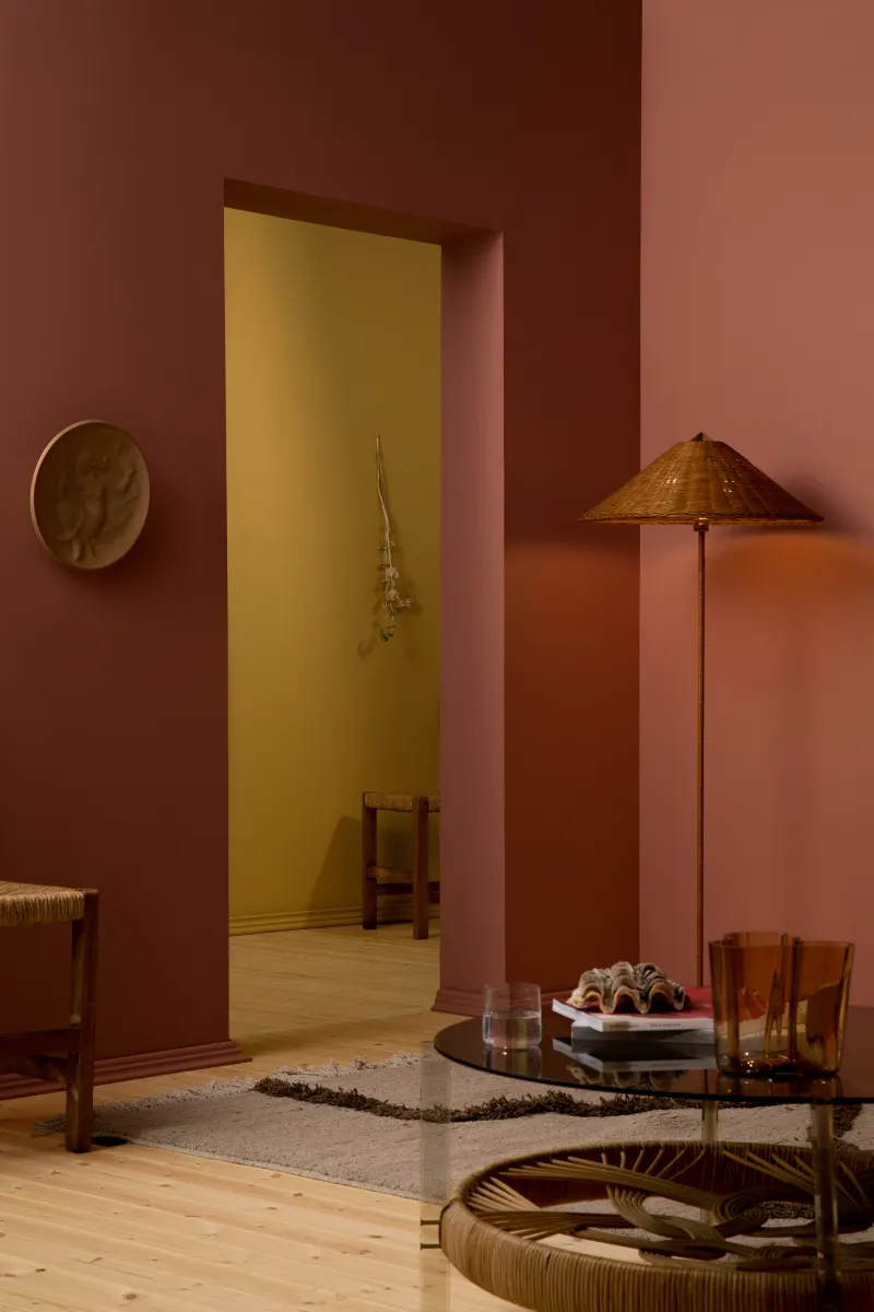 Design solutions inspired by nature