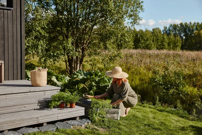 woman planting on terrace