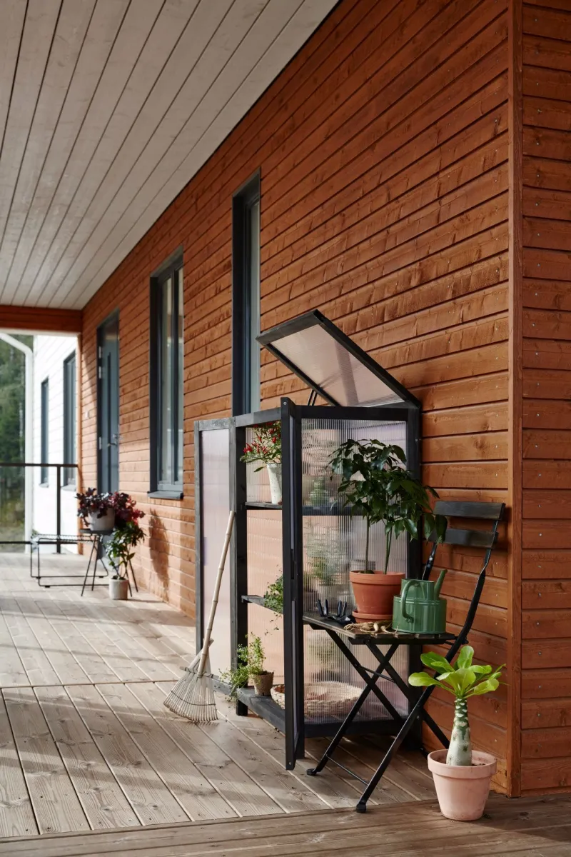 mini green house on terrace
