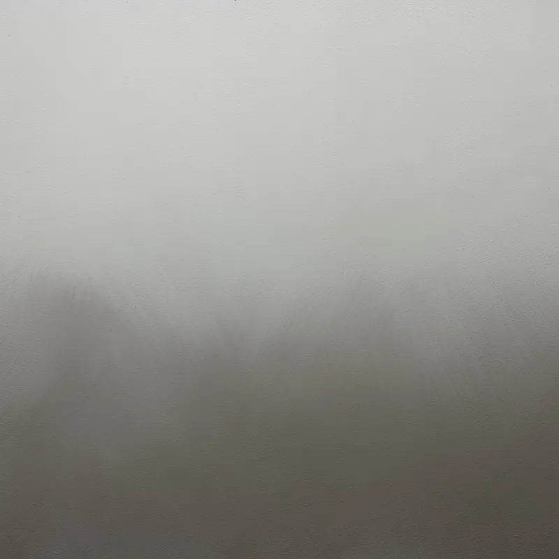 Harmony H497, Harmony Effect Paint L487 and H497