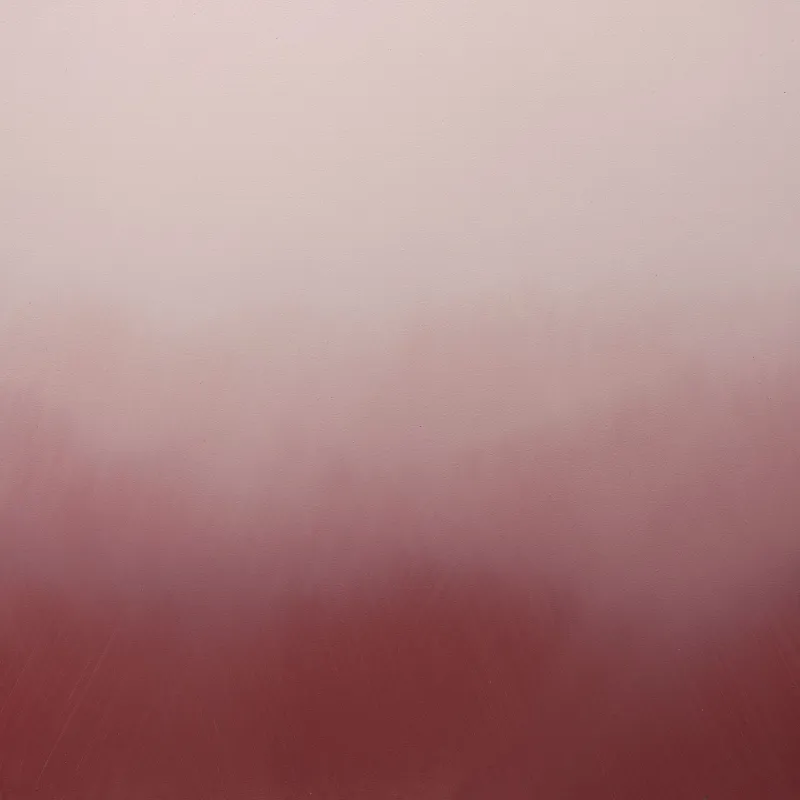 Harmony G321, Harmony Effect Paint N423 and G321